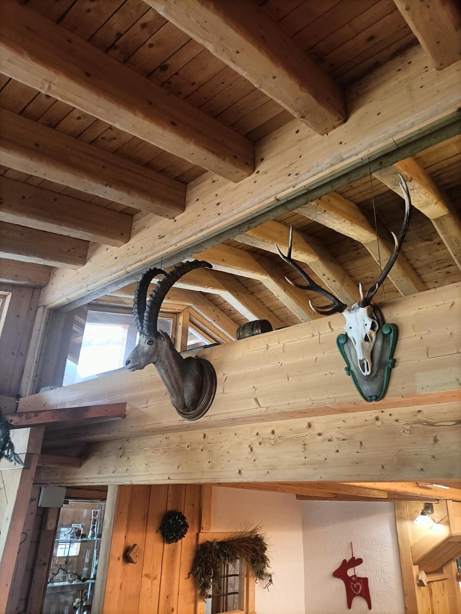 Chalet 1400 Nuova Gestione Limone Piemonte Buitenkant foto